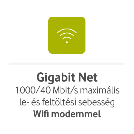 Gigabit Net
